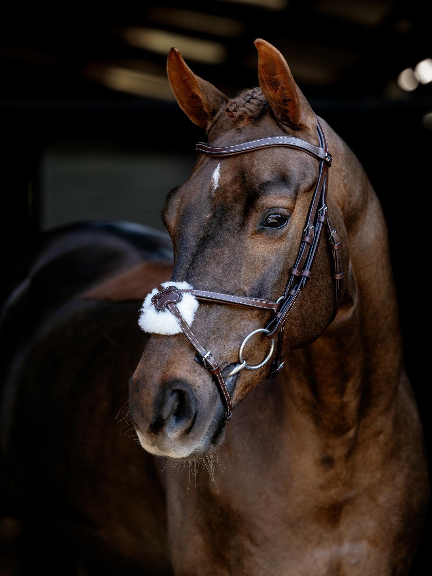 Arika Anatomic Grackle Bridle