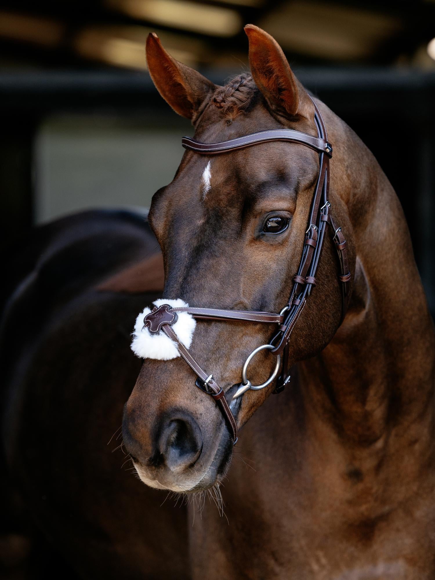 Arika Anatomic Grackle Bridle
