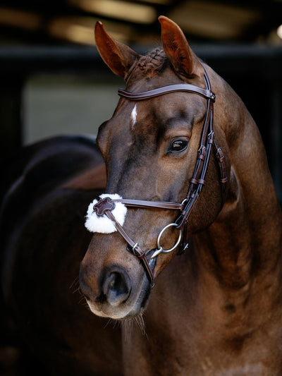 Arika Anatomic Grackle Bridle