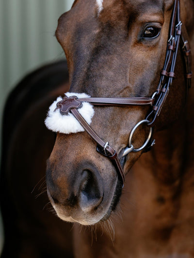 Arika Anatomic Grackle Bridle