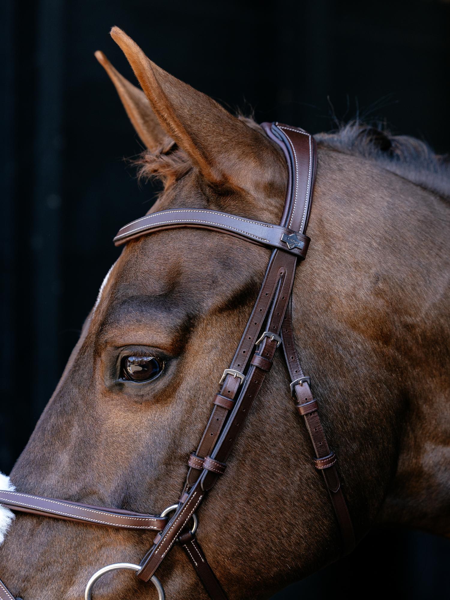Arika Anatomic Grackle Bridle