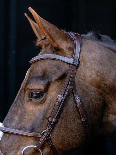 Arika Anatomic Grackle Bridle