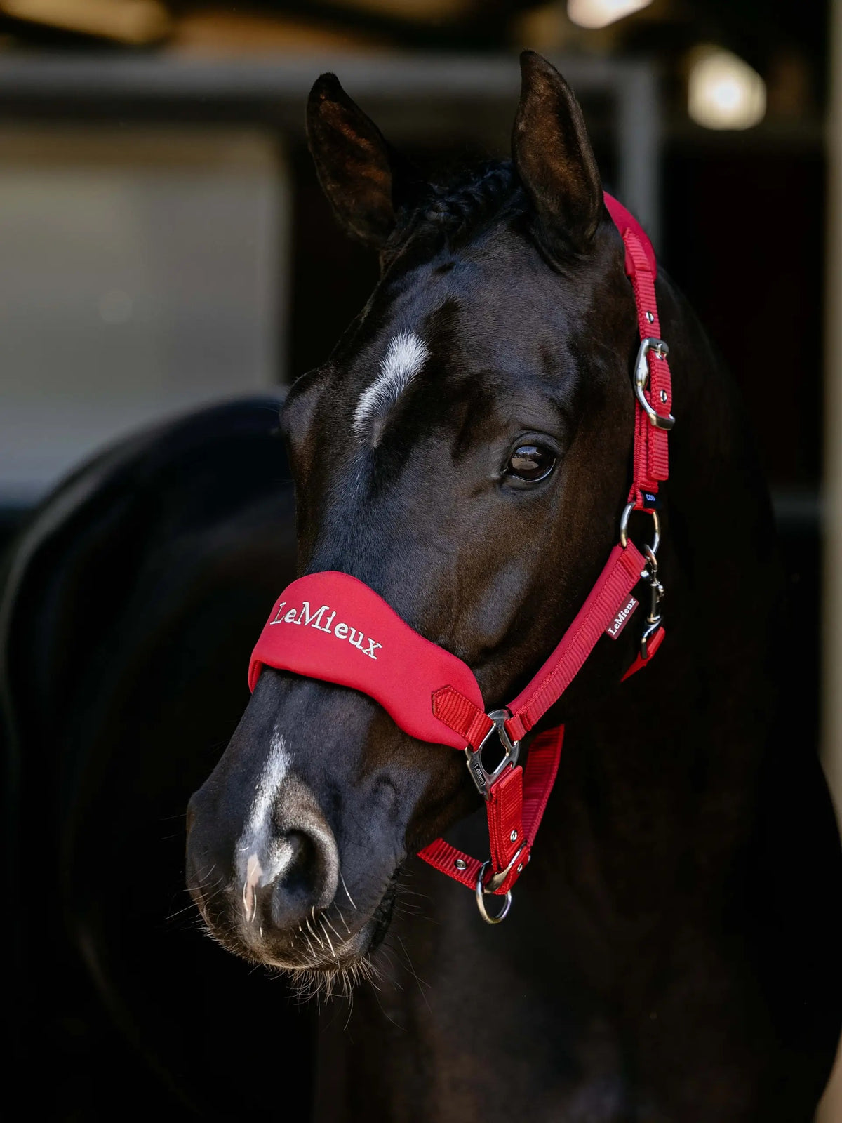 LeMieux Vogue Breakaway Headcollar