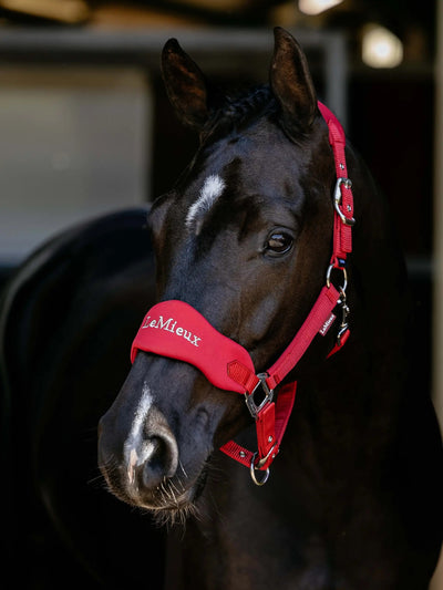LeMieux Vogue Breakaway Headcollar