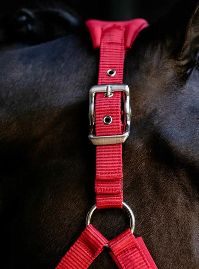 LeMieux Vogue Breakaway Headcollar