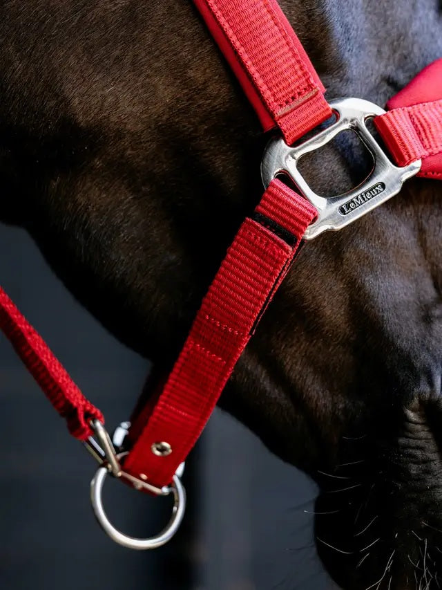 LeMieux Vogue Breakaway Headcollar
