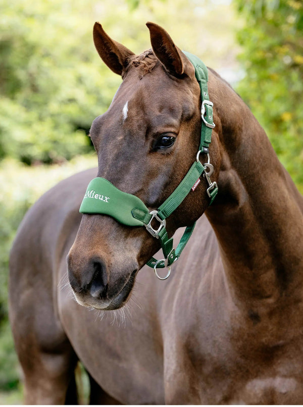 LeMieux Vogue Breakaway Headcollar