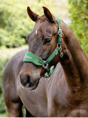 LeMieux Vogue Breakaway Headcollar