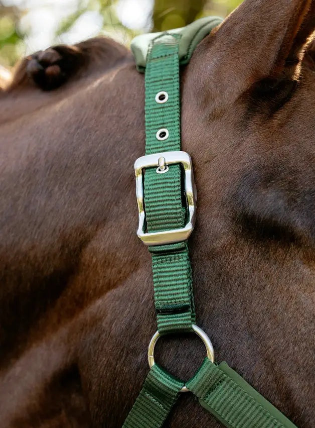 LeMieux Vogue Breakaway Headcollar