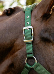 LeMieux Vogue Breakaway Headcollar