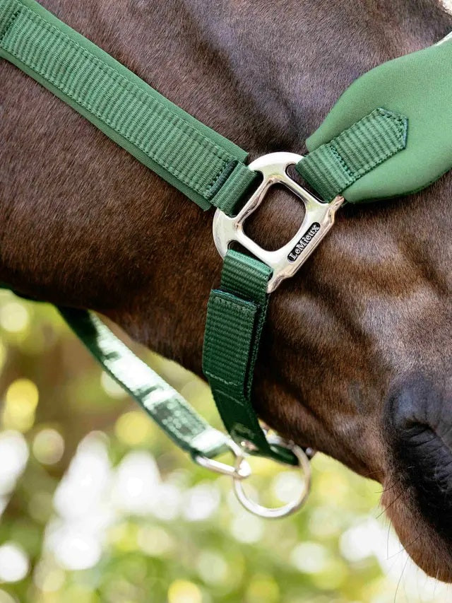LeMieux Vogue Breakaway Headcollar