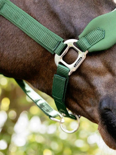 LeMieux Vogue Breakaway Headcollar
