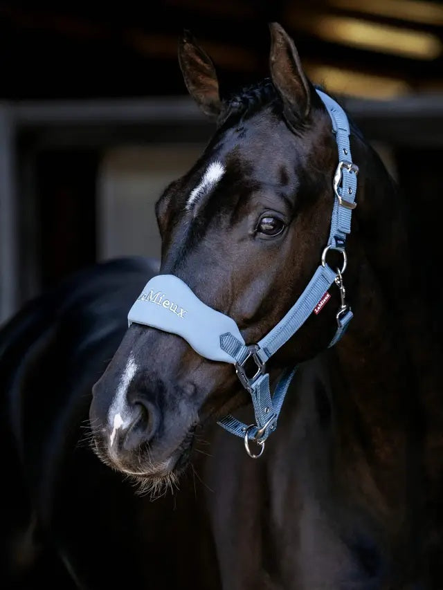 LeMieux Vogue Breakaway Headcollar