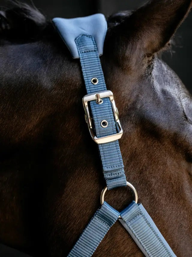 LeMieux Vogue Breakaway Headcollar