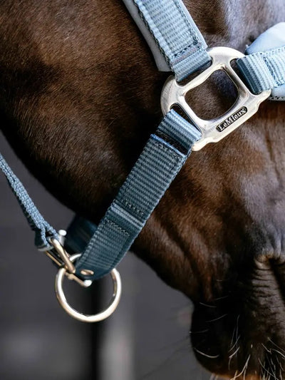 LeMieux Vogue Breakaway Headcollar