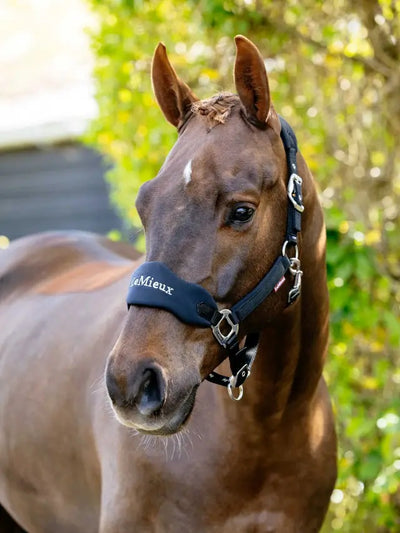 LeMieux Vogue Breakaway Headcollar