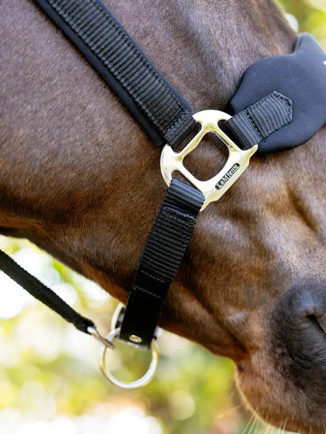 LeMieux Vogue Breakaway Headcollar