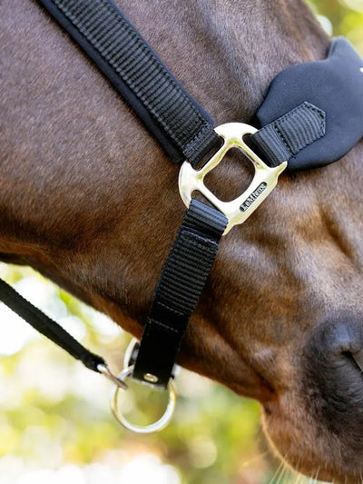 LeMieux Vogue Breakaway Headcollar