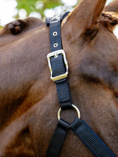 LeMieux Vogue Breakaway Headcollar