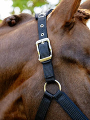 LeMieux Vogue Breakaway Headcollar