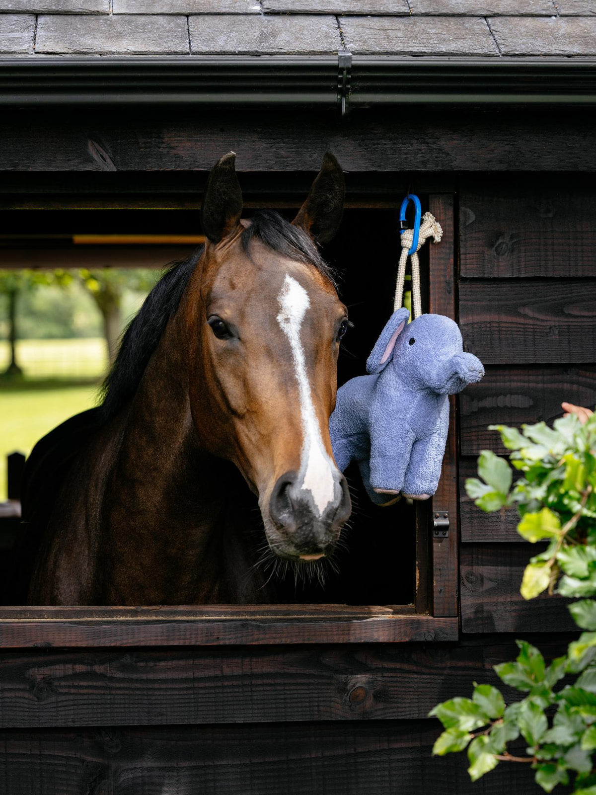 LeMieux Horse Toy - Plush Elephant