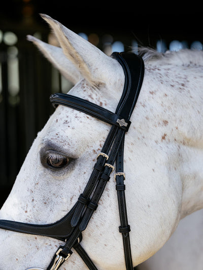 LeMieux Kudos Grackle Work Bridle