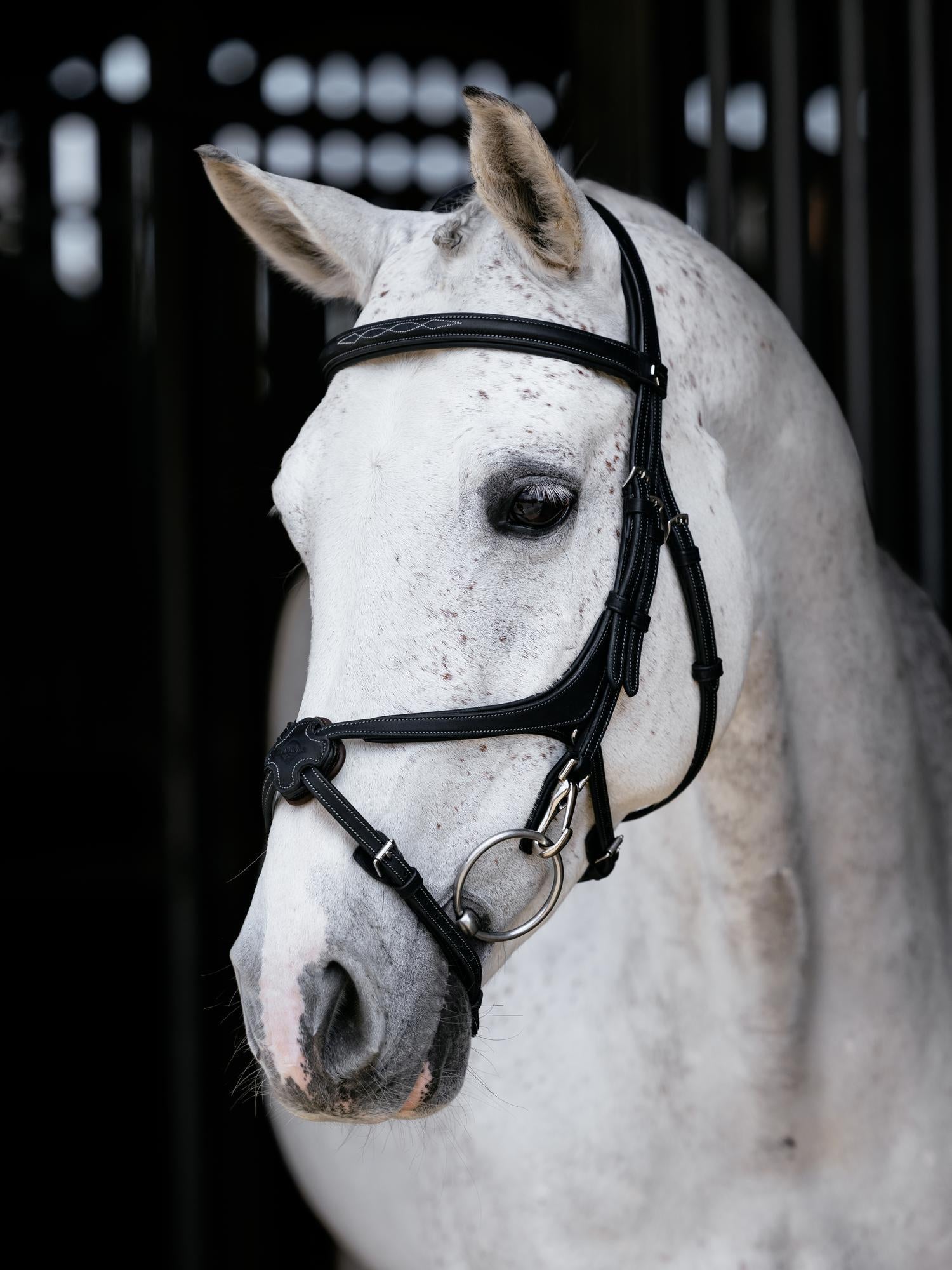 LeMieux Kudos Grackle Work Bridle