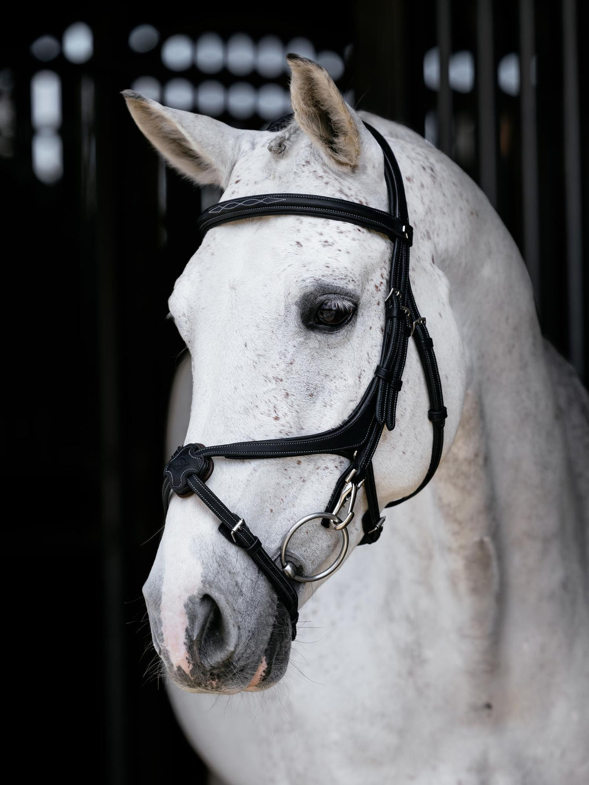 LeMieux Kudos Grackle Work Bridle