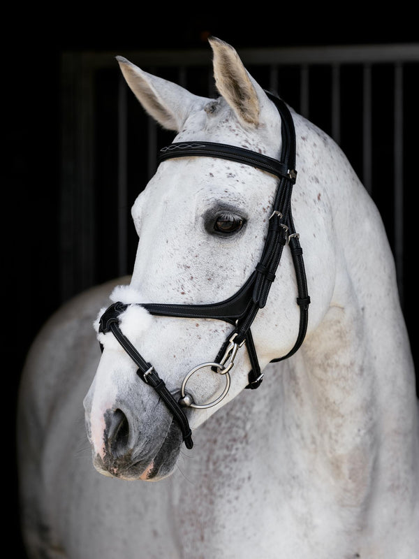 LeMieux Kudos Grackle Work Bridle