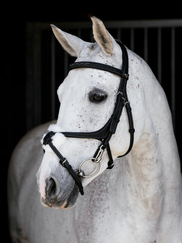 LeMieux Kudos Grackle Work Bridle