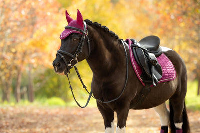 LeMieux Classic Fly Hoods - Seasonal Collections