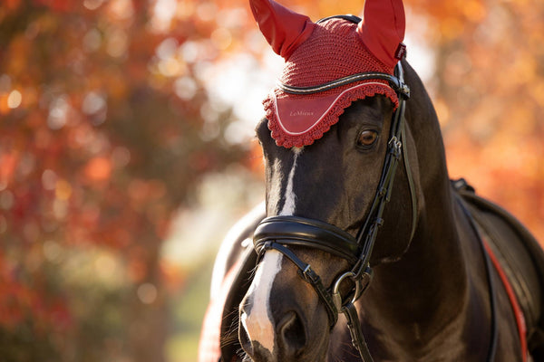 LeMieux Classic Fly Hoods - Seasonal Collections