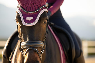 LeMieux Loire Fly Hood