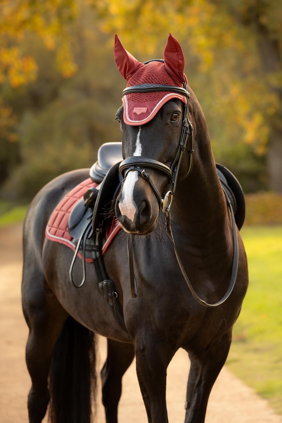LeMieux Loire Fly Hood