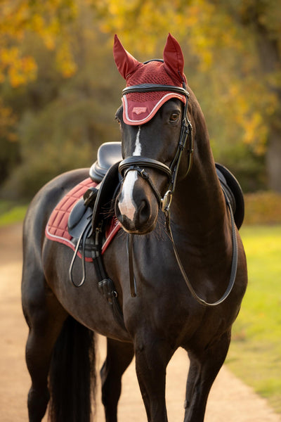 LeMieux Loire Fly Hood