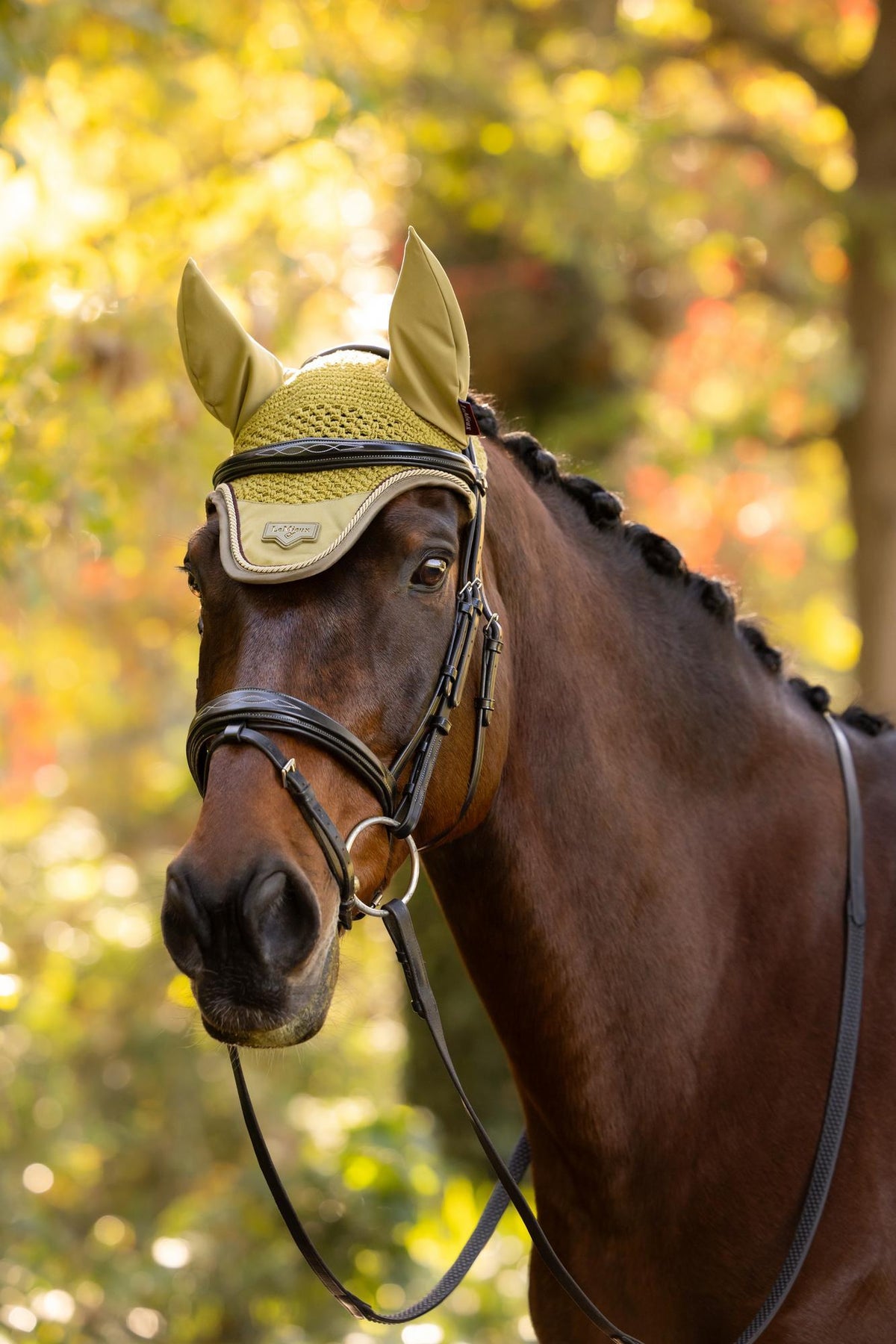 LeMieux Loire Fly Hood