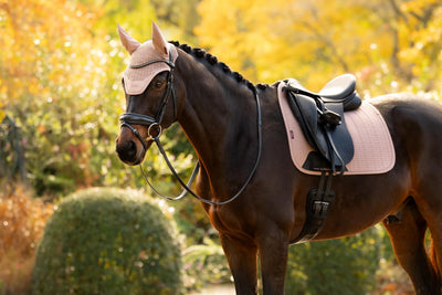 LeMieux Essence Fly Hood