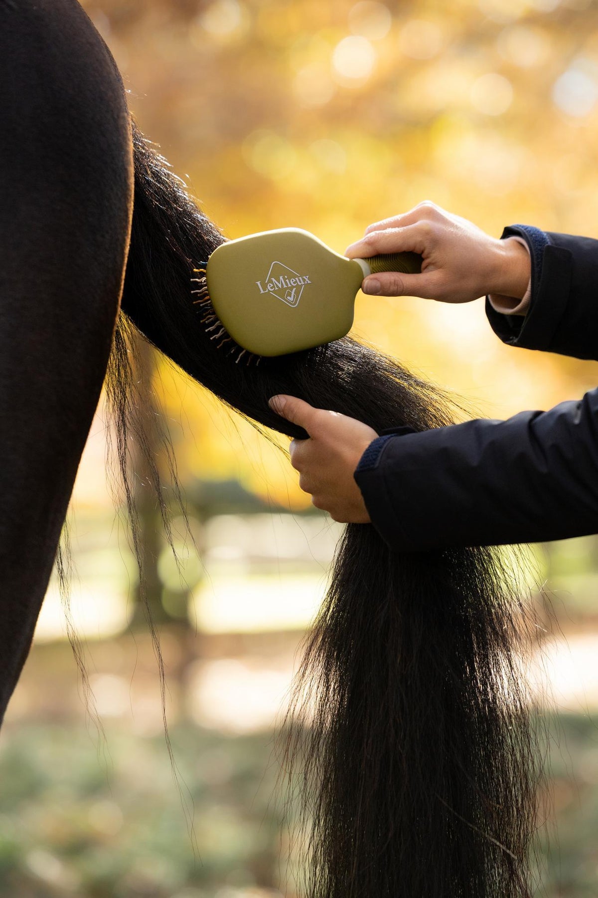 Tangle Tidy Brush
