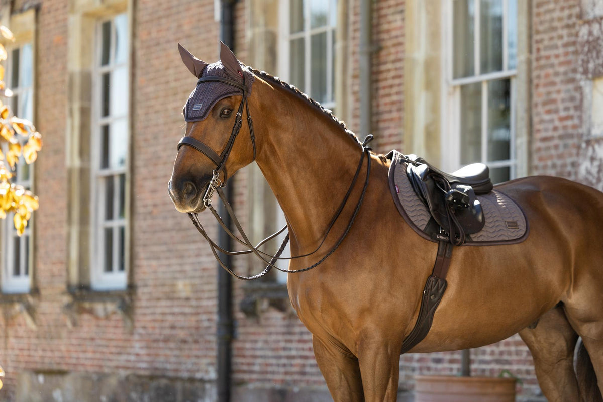 LeMieux Heritage Fly Hood