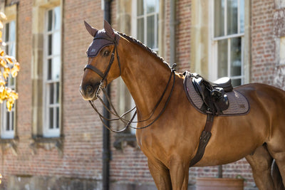 LeMieux Heritage Fly Hood