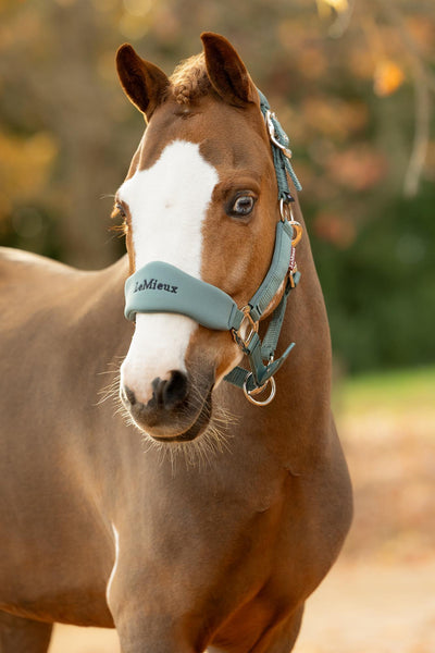 LeMieux Vogue Breakaway Headcollar