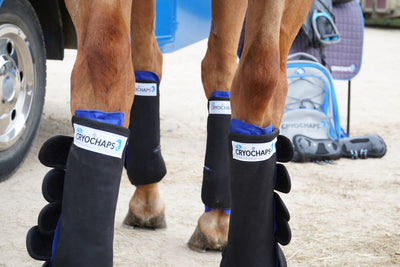 Cryochaps K2F Compression Ice Boots for Horses