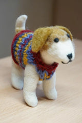 Pachamama Jack in a Jumper