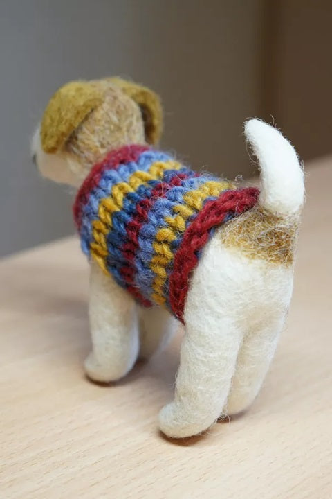 Pachamama Jack in a Jumper
