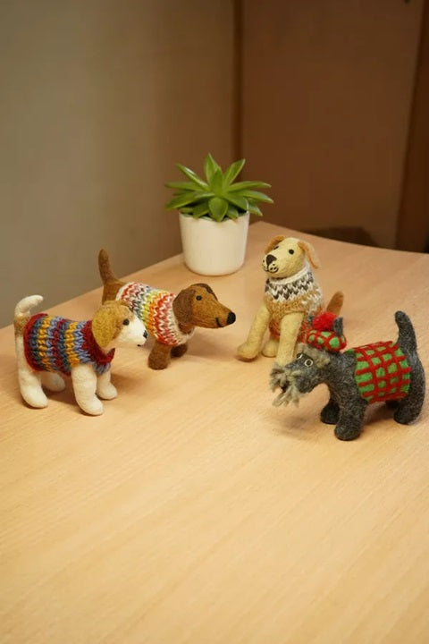 Pachamama Jack in a Jumper