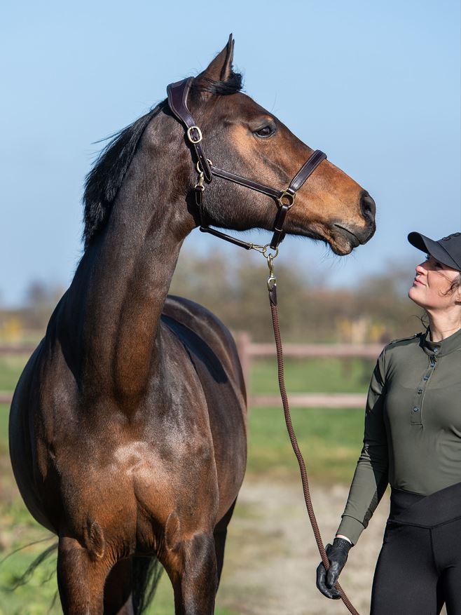 PS of Sweden Leather Halter