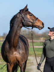 PS of Sweden Leather Halter