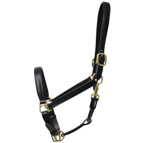 Leather Padded Headcollar