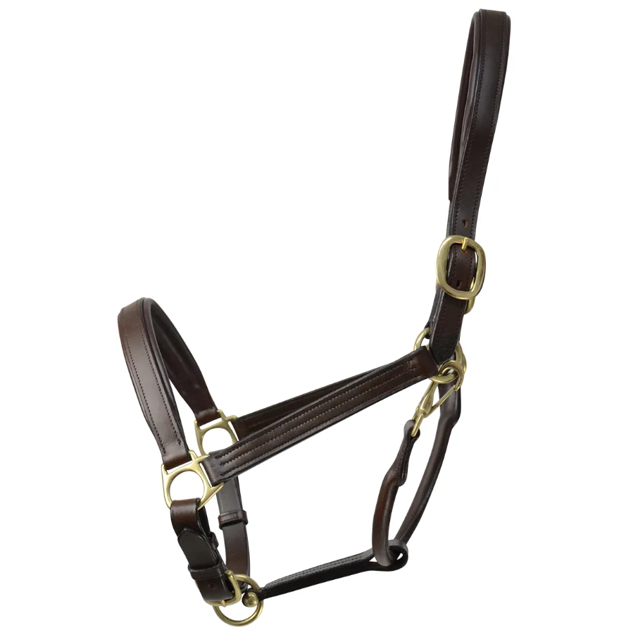 Leather Padded Headcollar