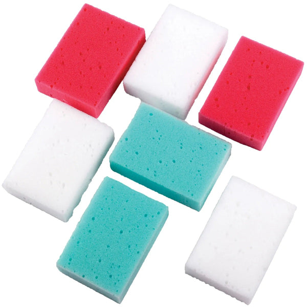 Lincoln Economy Sponge